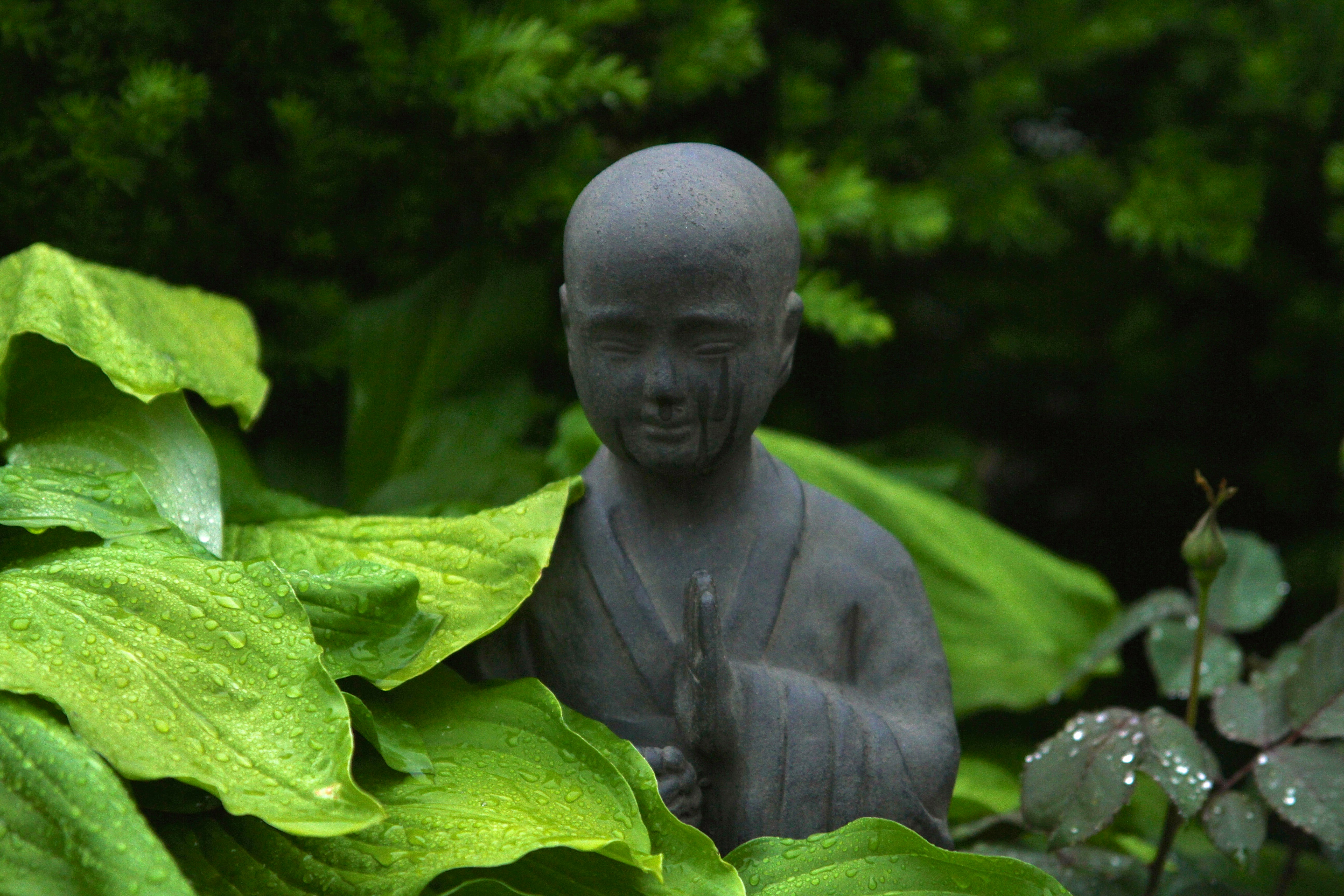 monk statue surrounded by plants outdoor during day